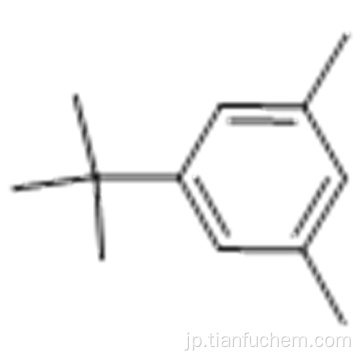 5-TERT  - ブチル -  M  - キシレンCAS 98-19-1